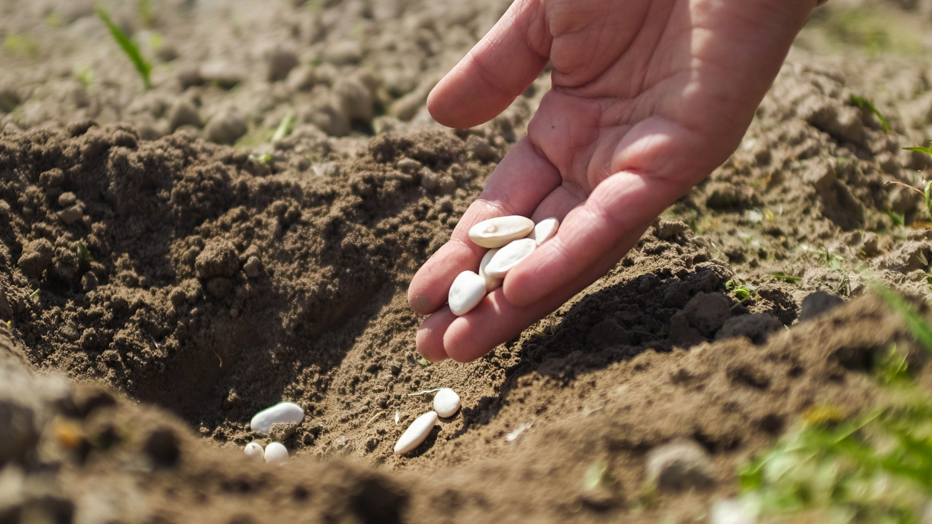 Your current steps of faith are seeds for future success